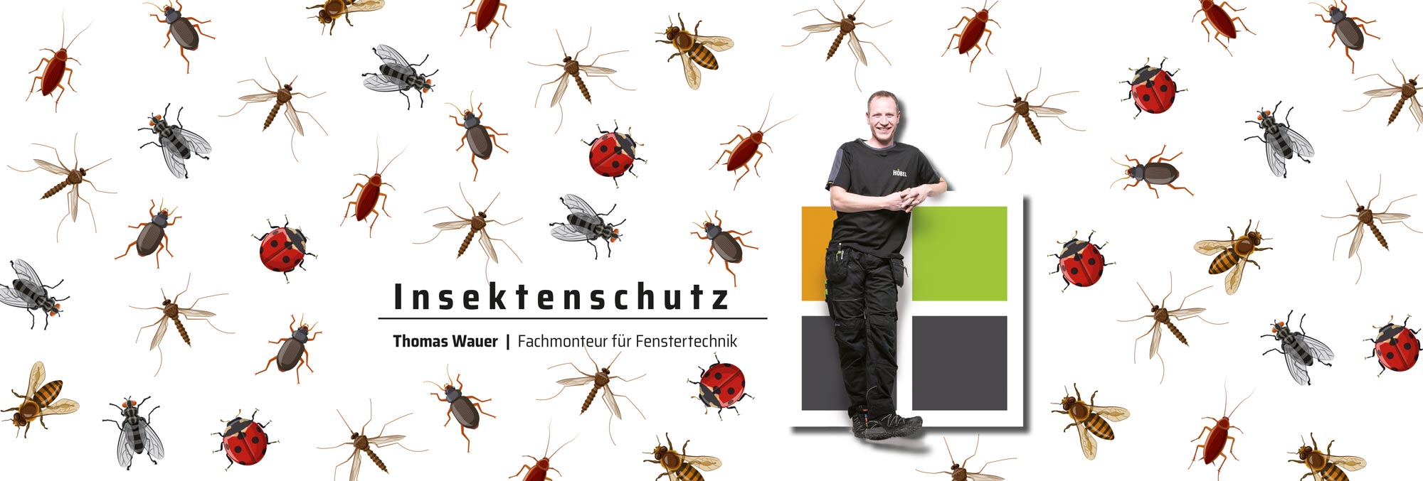 Höbel Insektenschutz